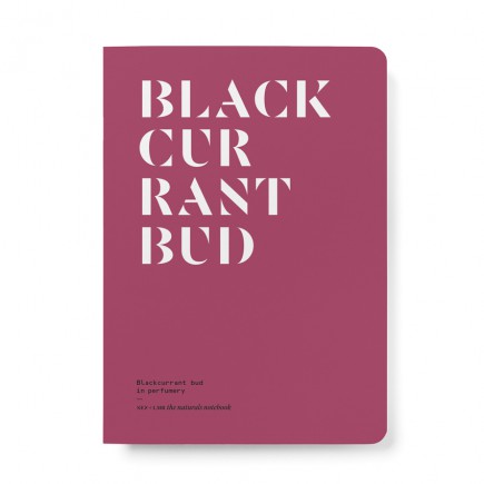 Blackcurrant Bud