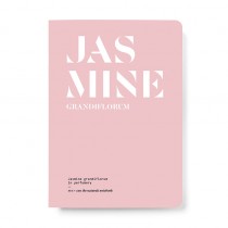 Jasmine Grandiflorum