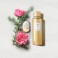Rose Sheherazade EXDP