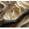 Creme Ebene EDP