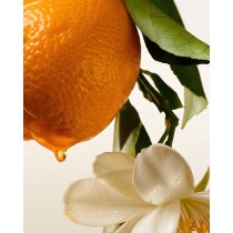 Fleur's d'Oranger Limited Edition