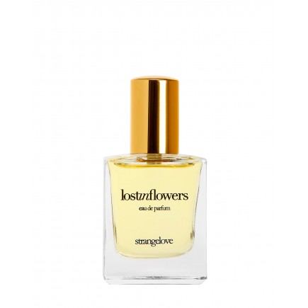 FallintoStars EDP